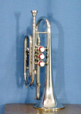 Cornet vente plat - cornet,
