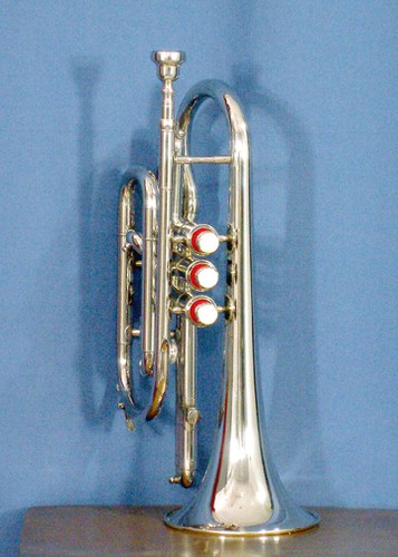 Cornet vente plat - cornet, neuf
