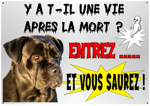 Plaque attention chien cane - attention,