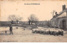 28 .n°109728 . ecrignolles 