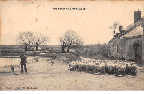 109728 ecrignolles - 28,