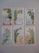 Lot de 6 Chromos Aiguebelle Les bons grains Le sarrasin, l'avoine, le poivre ...