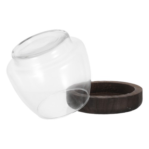 Vivier poisson terrarium - a,