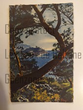 CAP FERRAT PINS D'ALEP  art illustration Yvon carte postale postcard 