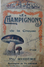 MYCOLOGIE  LES CHAMPIGNONS DE