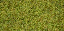 Noch 08310 - Herbe vert clair, 2.5 mm, 20g