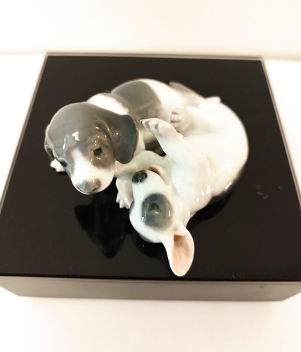 Deux chiots royal copenhague - chiots,