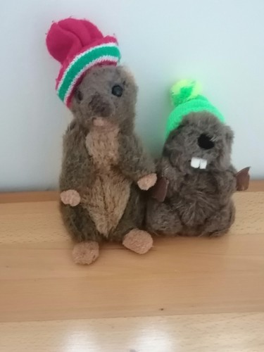 Lot 2 peluches avec - 2,