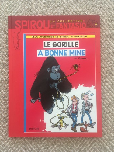 Gorille a bonne - gorille,