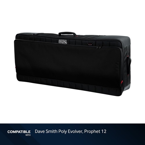 Gator cases pro - pro, gig