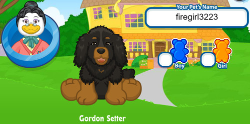 Webkinz classic gordon setter - webkinz,