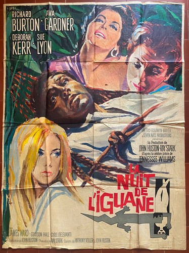 Affiche anuit l iguane - affiche,