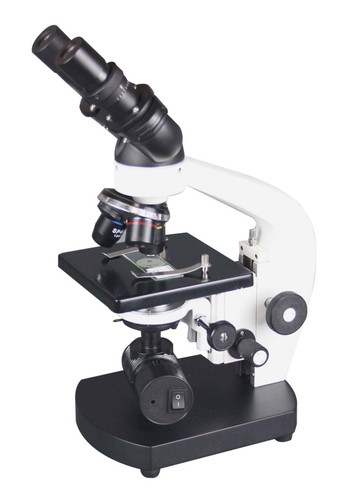 Microscope binoculaire