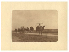 Tunisie, Caravane de chameaux