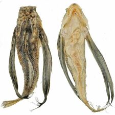 Poisson volant exoset