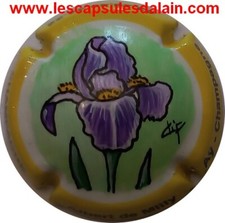 BELLE CAPSULE CHAMPAGNE PEINTE A LA MAIN ALBERT DE MILLY REF N°62b NEWS