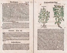 Majoran Épices Herbes Livre