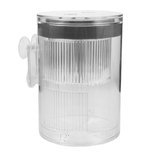Transparent acrylic fish - acrylic,