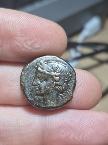 176 zeugitane carthage - #176,