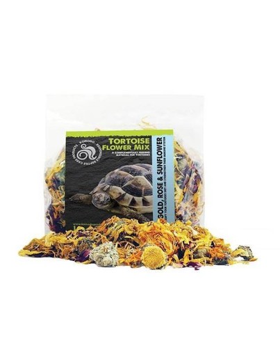 Komodo tortoise flower mix - komodo,