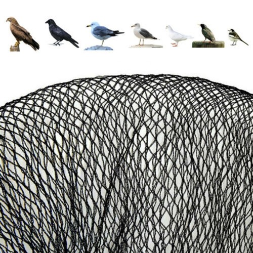 Filet oiseaux haute - filet,
