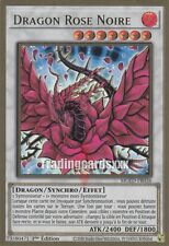 Yu-Gi-Oh! Dragon Rose Noire 