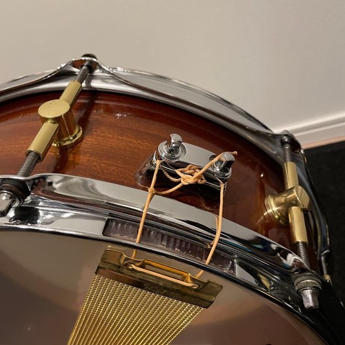 Canopus mahogany series - mahogany,