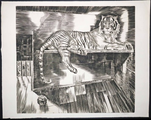 Albert decaris tigre - albert,