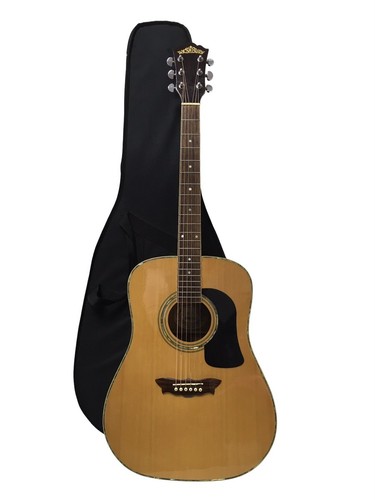 Washburn dreadnought - d-15,