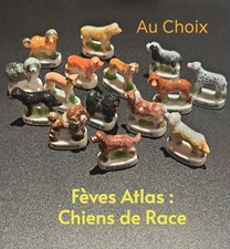 Au Choix Fèves Atlas / Chiens