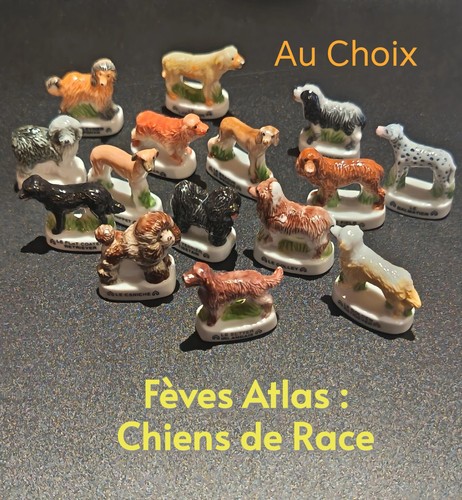 Choix fèves atlas - /, chiens