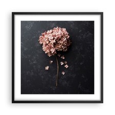 Affiche Poster 50x50cm