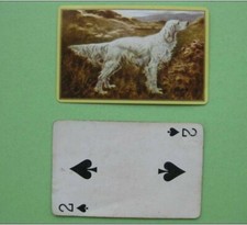 carte à jouer ancienne de collection (USA) : chien