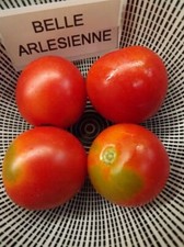 Beauté de la tomate d'Arles - Belle Arlésienne - 5+ graines - variété françai...