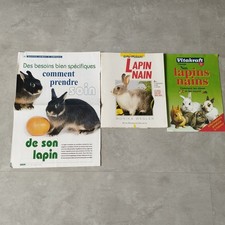 ANIMAUX LAPIN NAIN bien le