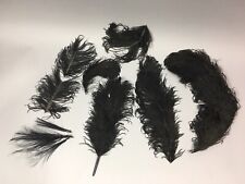 Superbe lot d'anciennes PLUMES