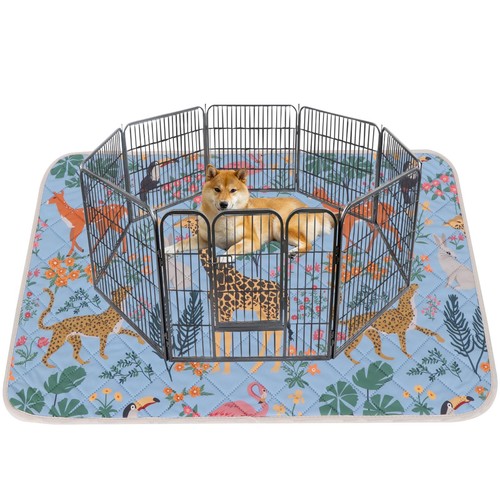 Lot tapis educateur pour - de,
