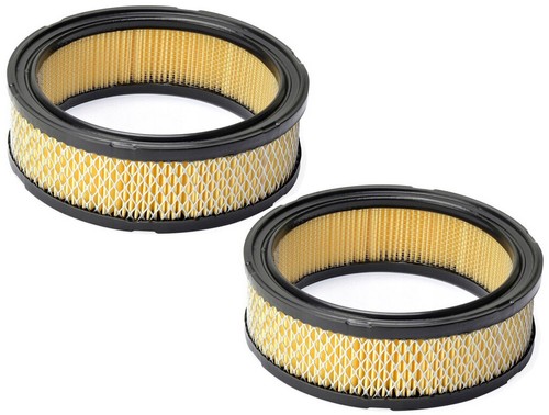 Filtres air briggs - 2,