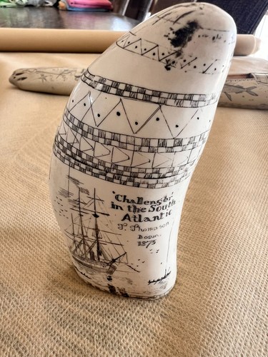 Réplique scrimshaw - scrimshaw,