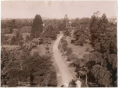 Photo poulsen albuminé - poulsen,