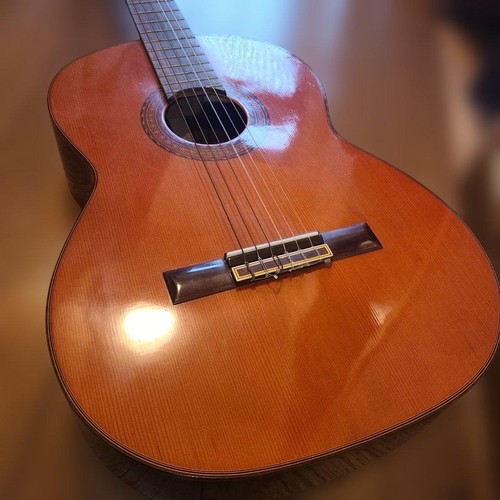 Guitare acoustique suzuki - acoustique,
