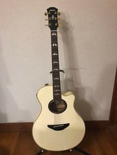 Guitare électrique acoustique
