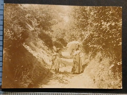 D61 près soligny - près,
