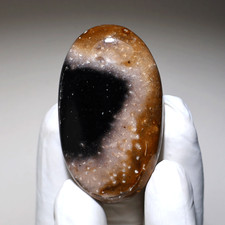 Racine de palmier agate
