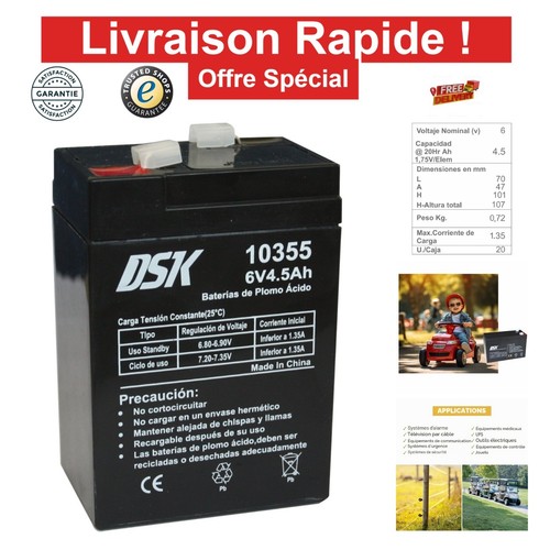 Dsk batterie agm plomb - dsk, 6v