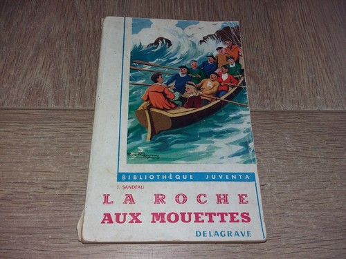 Roche aux mouettes - mouettes, /