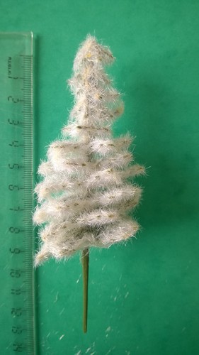 Lot arbres sapins - lot, 5