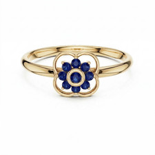 Bague d'usure quotidienne en