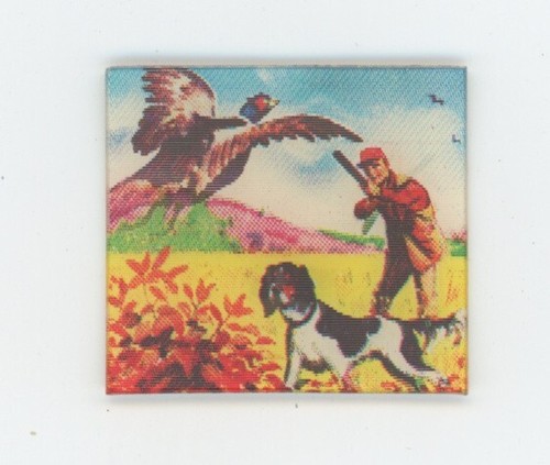 Hunter avec chasse chien - hunter,
