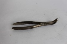 Davier dentaire WALTER Pince dentiste Médecine (36098)